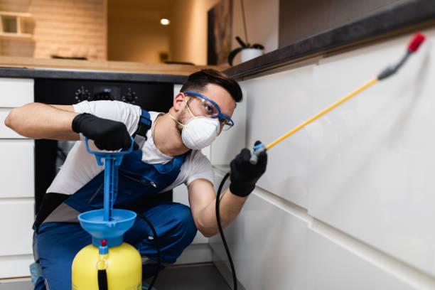 Best Best Pest Control Companies  in Portage, PA