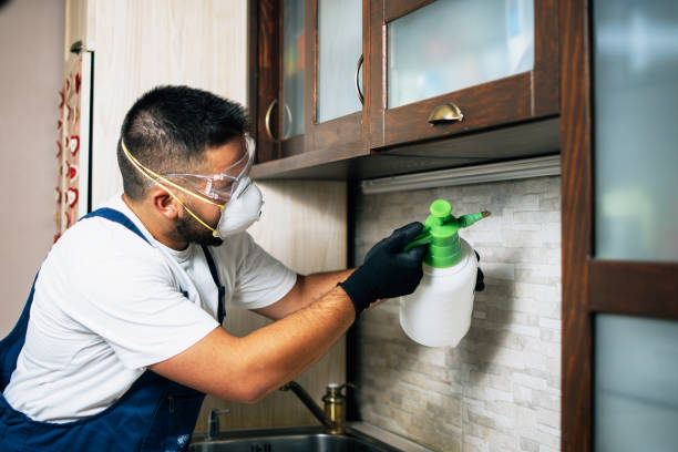 Trusted Portage, PA Pest Control Experts