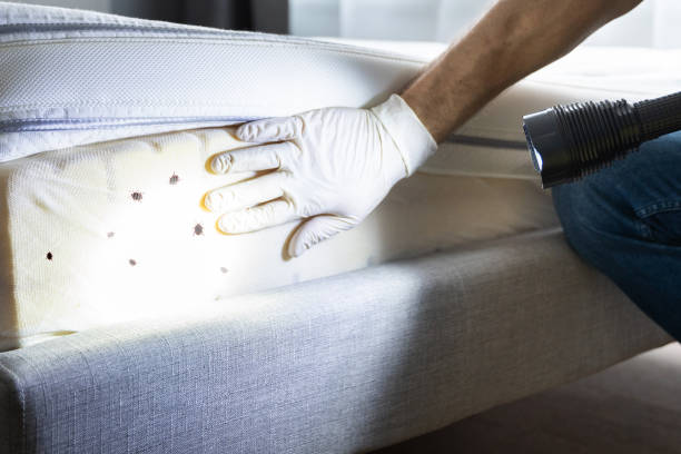 Best Mosquito Control Services  in Portage, PA