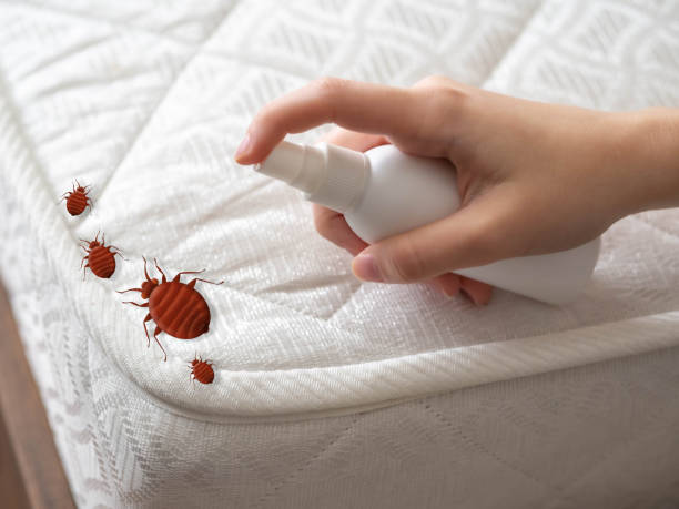 Best Pest Prevention Services  in Portage, PA