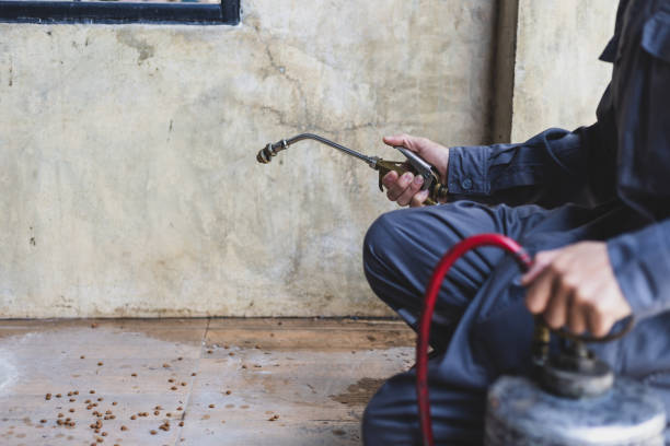 Best Exterminator Services  in Portage, PA
