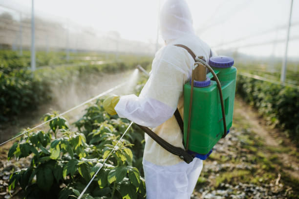 Best Best Pest Control Companies  in Portage, PA